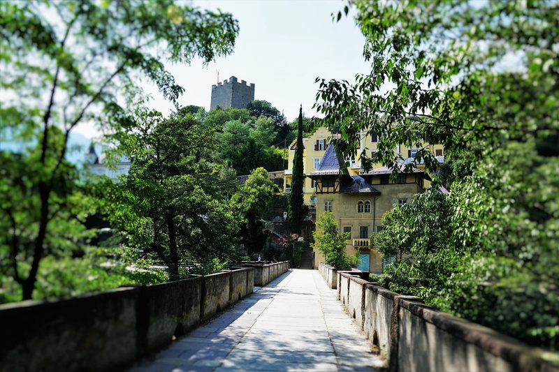 built structure, residential district, summer, building exterior, 5K, city, no people, plant, growth, direction, building, the way forward, architecture