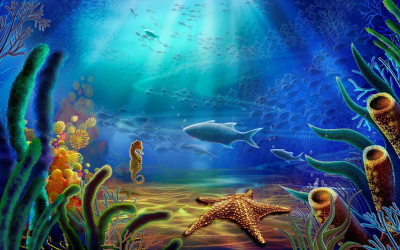 artistic, 1080P, marine, life, hd
