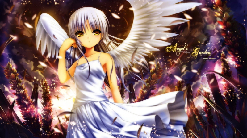 girls, beats, dress, wheat, white, anime, hair, angel, yellow, kanade, 720P, tachibana, wings, eyes