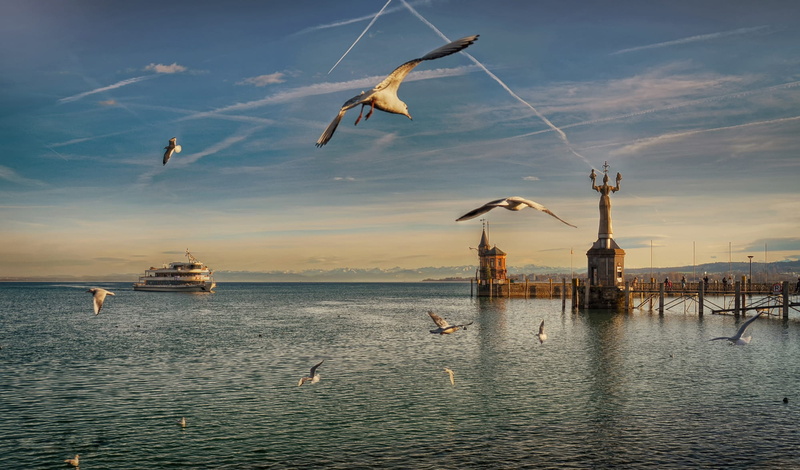 gulls, water, 1080P, flock, animal wildlife, animal, daytime, no people, sea, transportation, nautical vessel, mode of transportation, waterfront, flying