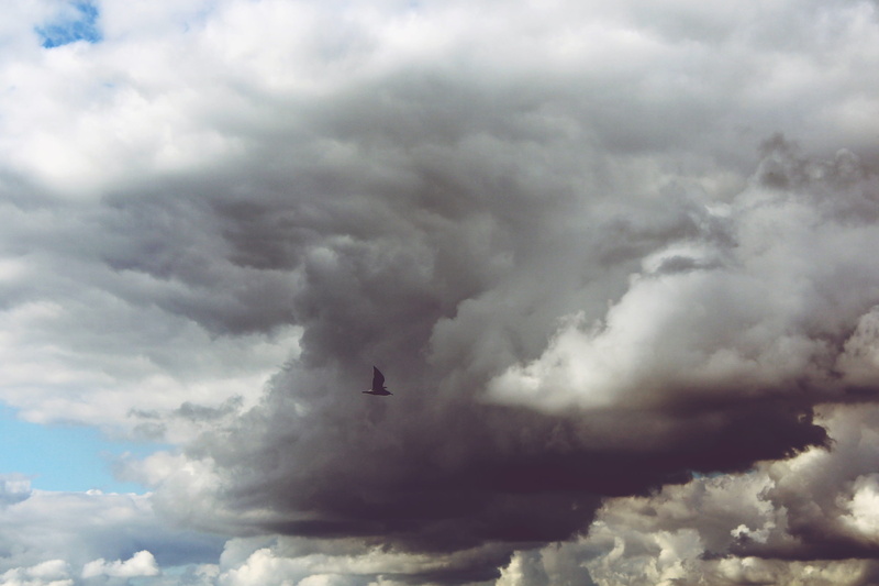 thunderstorm, coast, fly, outdoors, no people, photo, storm cloud, bird, nature, dark clouds, wing beat, storm, white, 2K, blue, transportation, mode of transportation