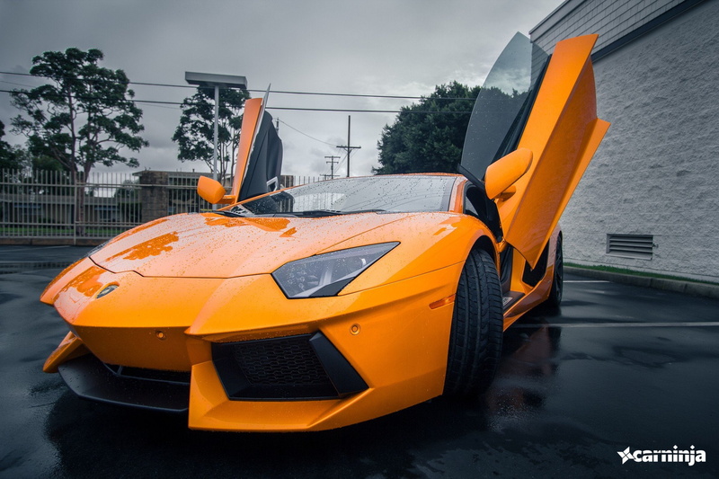 plant, mode of transportation, people, n, lamborghini, Lamborghini Huracán LP610, nature, x, day, outdoors, aventador, transportation, 4, water, hurac