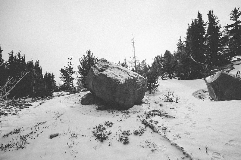 rock, snow, beauty in nature, pine tree, cold temperature, sky, plant, white color, tranquility, no people, nature, 1080P, tree, tranquil scene, environment