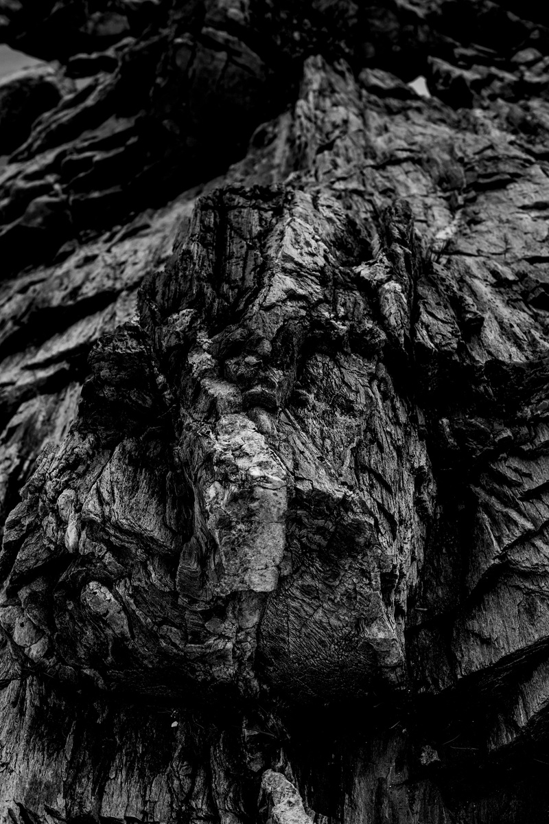 wander, design, world, rock formation, ocean, mountain, peak, rough, solid, day, textured, tree trunk, rock, grayscale, geology, full frame, surface, black and white