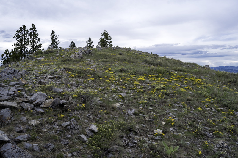 tranquility, mount, solid, rock - Object, summer, Landscape, sky, helena, outdoors, 5K, scenics - nature, green color, mountain, top, Mount Helena, nature