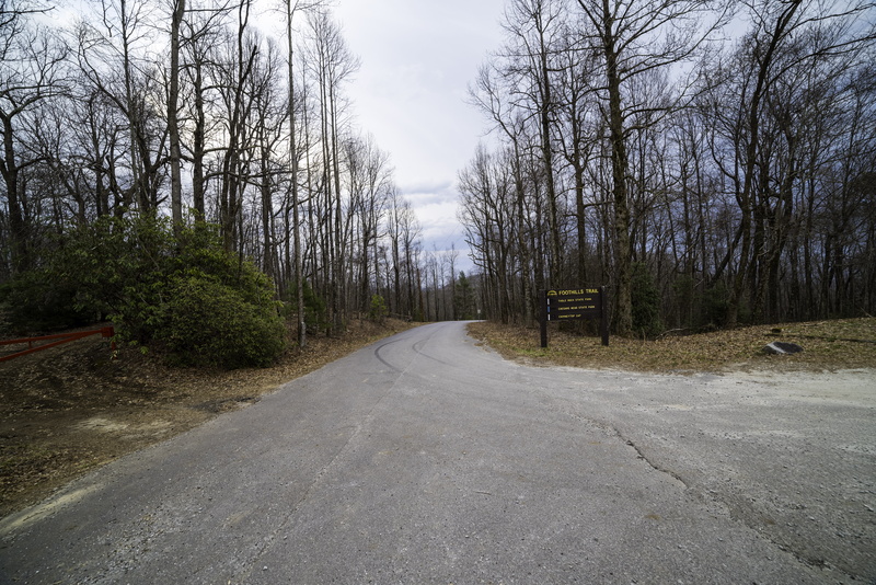 tranquility, Road, mountaintop, 5K, forest, diminishing perspective, carolina, trees, summit, plant, outdoors, direction, long, Sassafras Mountain, public domain
