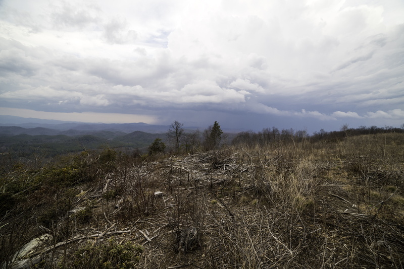Clouds, south, 5K, Sassafras Mountain, scenics - nature, nature, Top, growth, landscapes, sky, grass, cloud - Sky, landscape, South Carolina, day, carolina