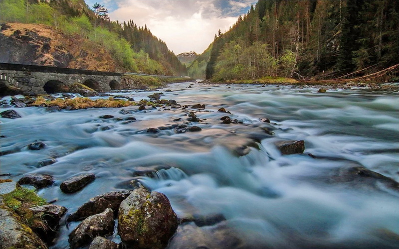 solid, 4K, forest, land, motion, hd, water, norway, outdoors, flowing, tree, non-urban scene, long exposure, power in nature, scenics - nature, surface level