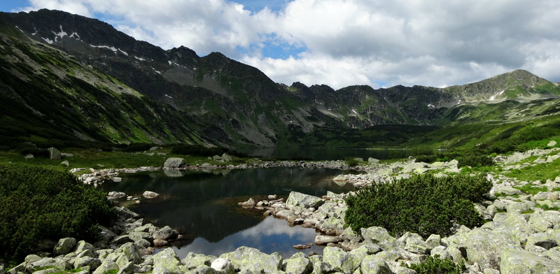 tree, no people, tourism, tatry, the high tatras, cloud - sky, sky, lake, land, 4K, tranquility, plant, tranquil scene, mountain, poland, coniferous tree