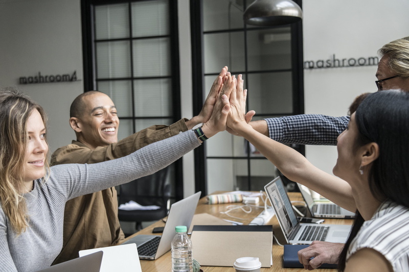 sitting, adult, collaboration, young adult, men, 4K, arms raised, women, business, highfives, high five, communication, human arm, limb, arms, workspace