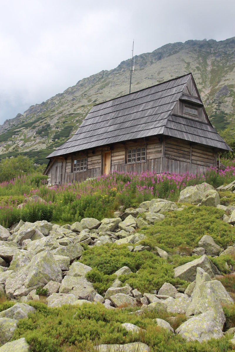 tranquility, plant, landscape, tree, trail, outdoors, nature, house, beauty in nature, building exterior, 2K, mountain, rock, tatry, wooden house, land