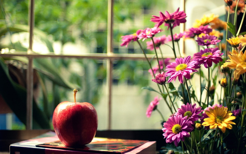 Flowers, Life, Apple, 1080P, Red, Still, Pink, Book, Yellow, Window