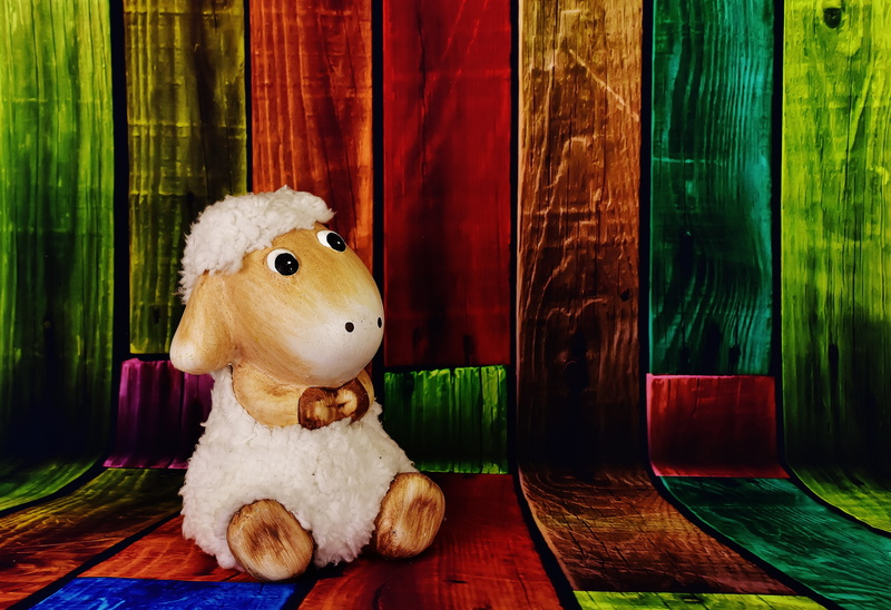 schäfchen, day, cute, art and craft, no people, 5K, wood planks, close-up, holiday, toy, kunterbunt, representation, teddy bear, stuffed toy, craft, white