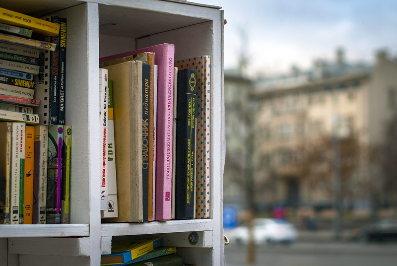 abundance, communication, focus on foreground, 2K, close-up, shelf, arrangement, still life, day, large group of objects, books, cubby, multi colored