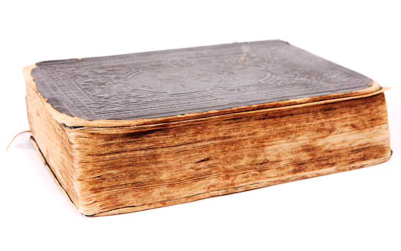 book, 2K, cover, book cover, old, hardcover book, leather, single object, isolated, empty, background, publication, brown, cut out, white, still life