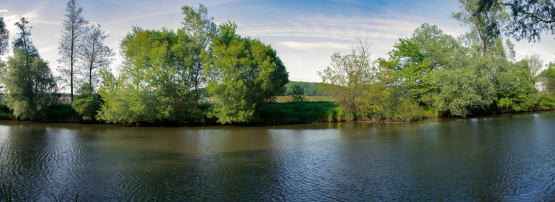 tranquility, blue, scenics, coniferous tree, panorama, pine tree, no people, forest, lake, styria, tree, nature, plant, landscape, autumn, 8K, tranquil scene