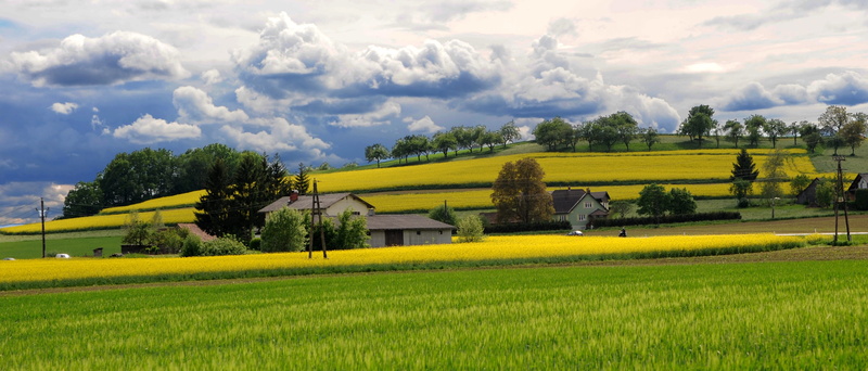 rural Scene, Panorama, tranquility, fields, view, environment, farm, tree, non-Urban Scene, Styria, 2K, nature, agriculture, plant, springtime, beauty In Nature
