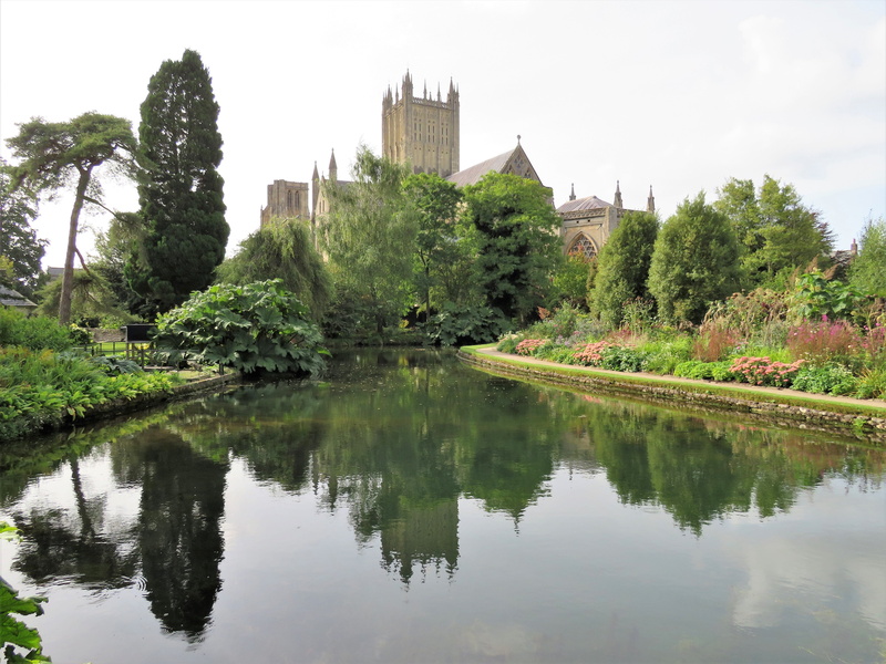 historic, 4K, waterfront, plant, nature, building, city, tourism, architecture, somerset, tree, wells, skyscraper, church, lake, reflection, outdoors
