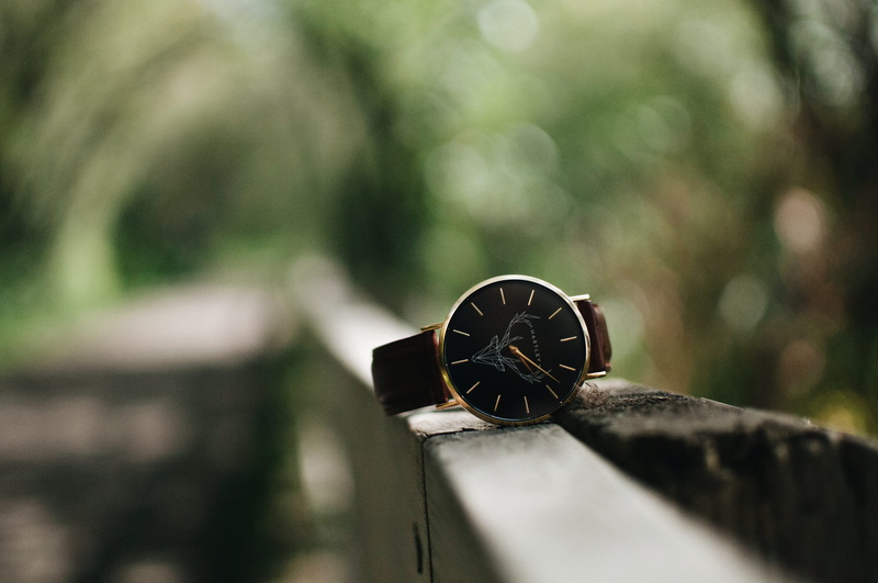 geometric shape, hartley, plant, day, watches, circle, outdoors, nut - fastener, tree, close-up, metal, shape, wood - material, work tool, selective focus
