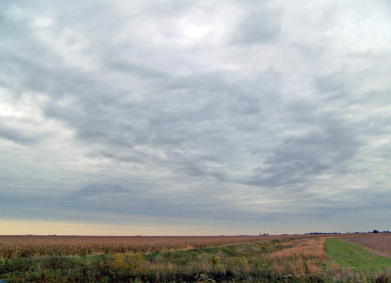 indiana, harvest, overcast, tranquility, land, tranquil scene, day, grain, crop, growth, outdoors, plant, fall, autumn, scenics - nature, midwest, horizon