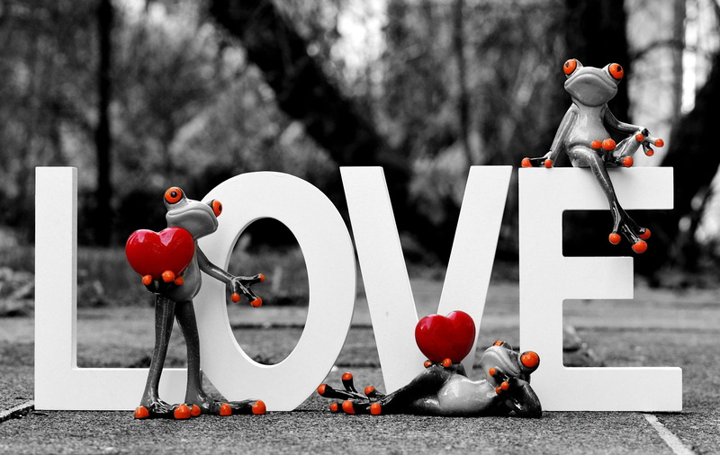 security, affection, safety, transportation, plant, lettering, tree, red, 1080P, valentines day, human representation, white, no people, figures, frogs
