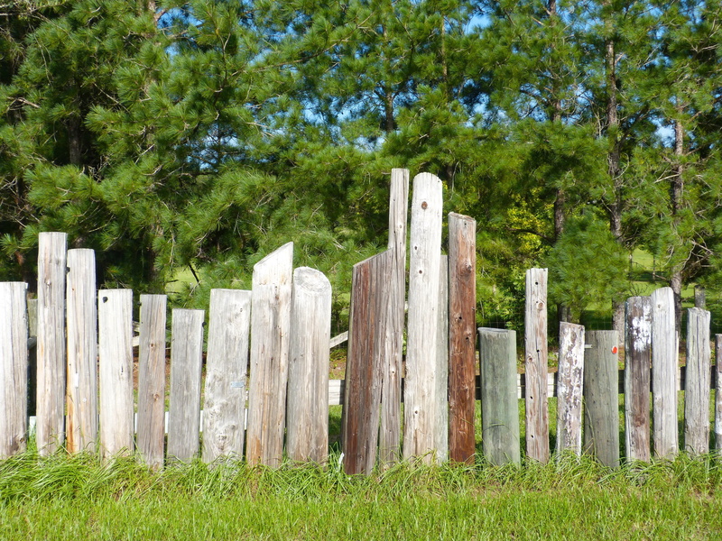 grass, poles, picket fence, land, barrier, Fence, wooden fence, green color, outdoors, no people, plant, protection, wood, tranquility, nature, field, boundary
