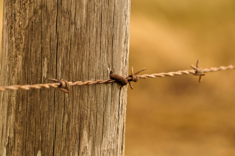 focus on foreground, boards, barrier, nails, wire, fence, protection, sharp, grain, warning sign, wood texture, old, day, mood, wood fence, outdoors, dark