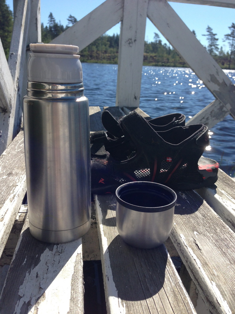 water, day, close-up, tree, sunlight, outdoors, lake, steel, land, no people, table, container, thermos, ståltermos, coffee break, plant, food and drink