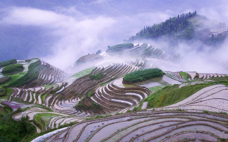 mountains, fields, mist, clouds, landscapes, 1080P, misery