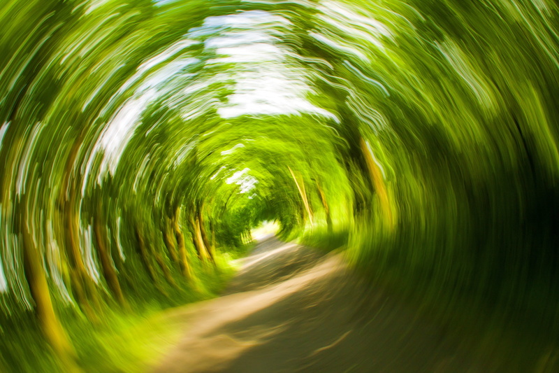 photo art, fall over, water, outdoors, photography, speed, green color, strudel, road, beauty in nature, tree, motion, dizzy, full frame, turn, geometric shape