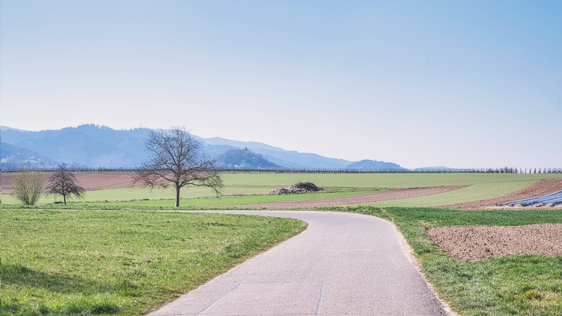 green, away, rural scene, road, arable, environment, the way forward, land, tranquility, mood, transportation, landscape, tree, scenics - nature, trail