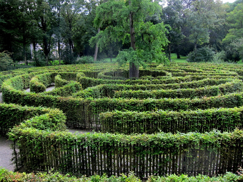 beauty in nature, round, lush foliage, eddy, nature, garden, sog, green, hedge, no people, search, green color, strudel, tree, plantation, turn, outdoors