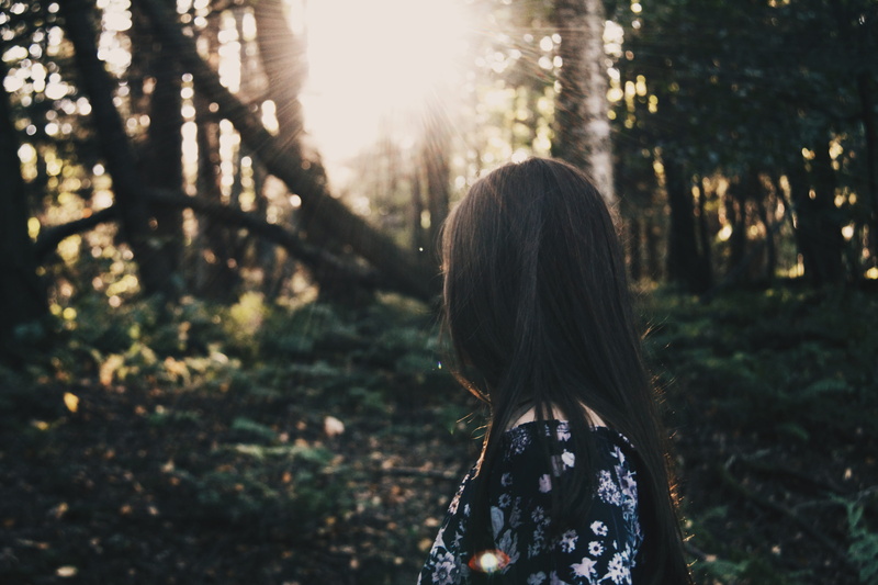 tree, sunlight, woodland, casual clothing, 5K, wood, rear view, land, plant, leisure activity, surrounded, top, woman, forest, black, real people, hair