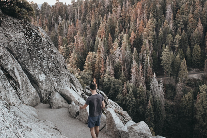 leisure activity, hike, scenic, 20-25 years old man, wear, daylight, cliff, lifestyles, casual clothing, real people, nature, solid, tree, beauty in nature