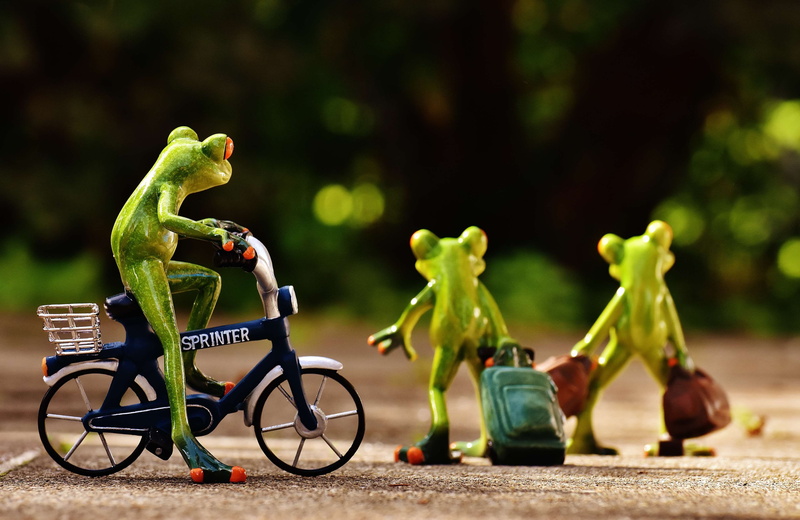 travel, male likeness, go, bike, childhood, good bye, trolley, human representation, focus on foreground, sad, bags, on the go, frog, fun, transportation