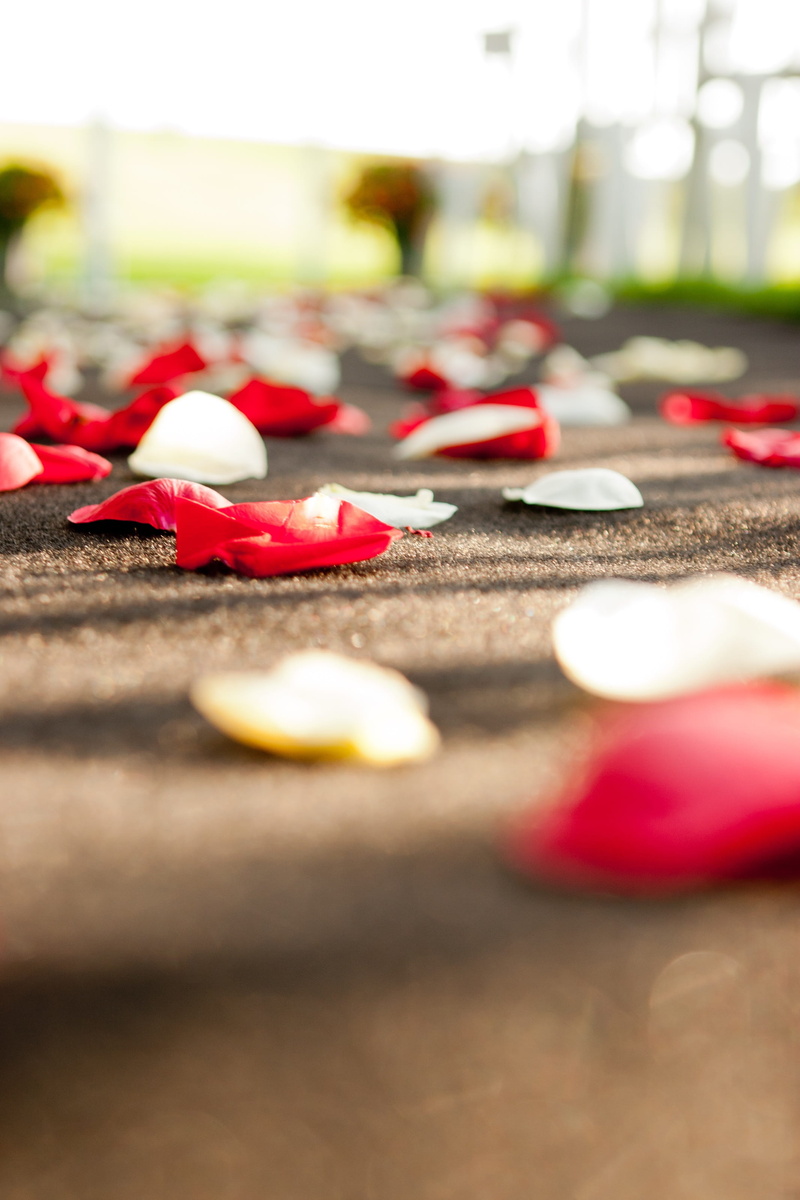 2K, close-up, still life, ground, day, red, Ground, in a row, diya - oil lamp, White, no people, selective focus, nature, city, white, flower, large group of objects