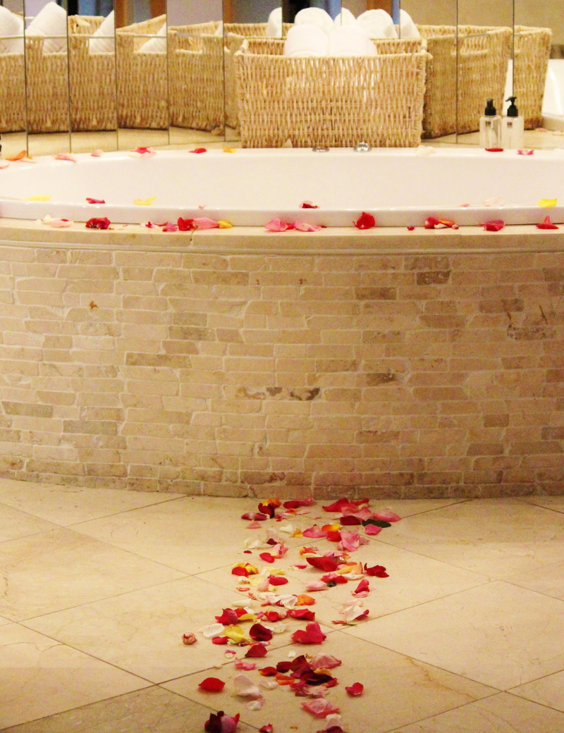 freshness, bathtub, plant, decoration, built structure, domestic room, rose, building, tile, nature, mood, 4K, honeymoon, petals, no people, flower, floor