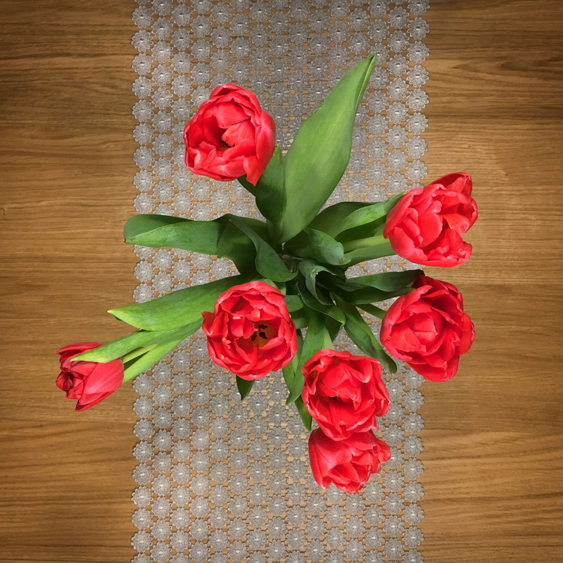 nature, freshness, rose - flower, vulnerability, petal, flooring, plant, beauty in nature, flower arrangement, table, flower head, indoors, leaf, bouquet