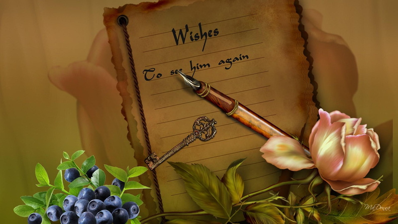 1080P, flower, nostaligic, blue berries, nostalia, fountain pen, vintage, roses, lost love, wishes, firefox persona