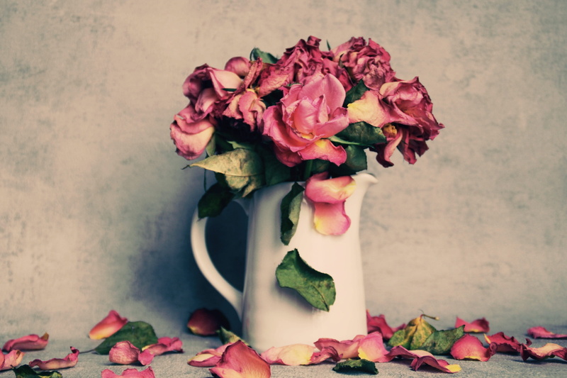 love, rose bloom, plant, freshness, fragility, bouquet, rose - flower, vase, vintage, flower arrangement, vulnerability, no people, sad, petals, lost, wilted plant