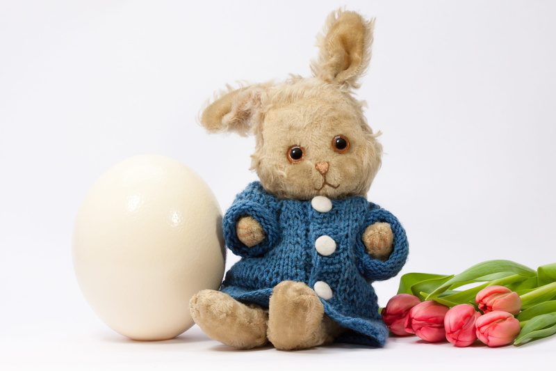 spring awakening, indoors, still life, food and drink, stuffed toy, studio shot, mammal, toy, white background, no people, flower, cute, close-up, plush