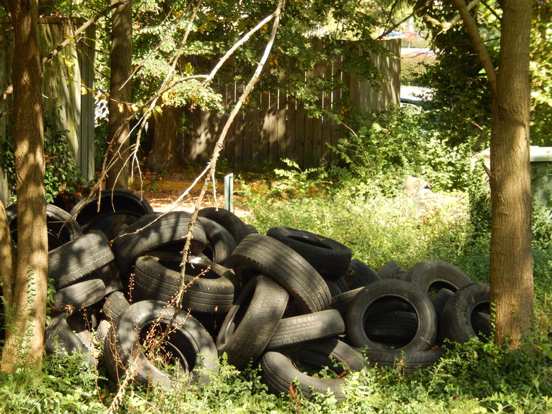 vulcanized, dump, refuse, damaged, obsolete, land, trash, growth, no people, junkyard, plant, trees, grass, land vehicle, field, sunlight, tires, 4K, outdoors