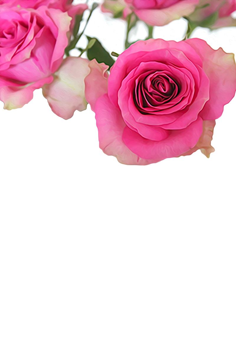 plant, flower head, freshness, dekor, softness, valentine, valentines day, congratulations, close-up, decoration, indoors, fragility, romantic, no people