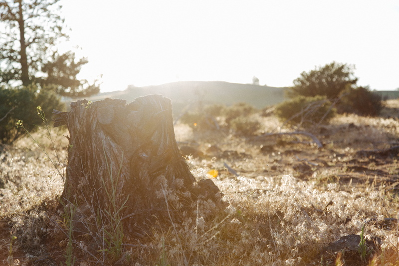 people, hill, outdoors, chopped, decay, day, desert, grass, nature, sunrise, prarie, landscape, scenics, hiking, background, beside