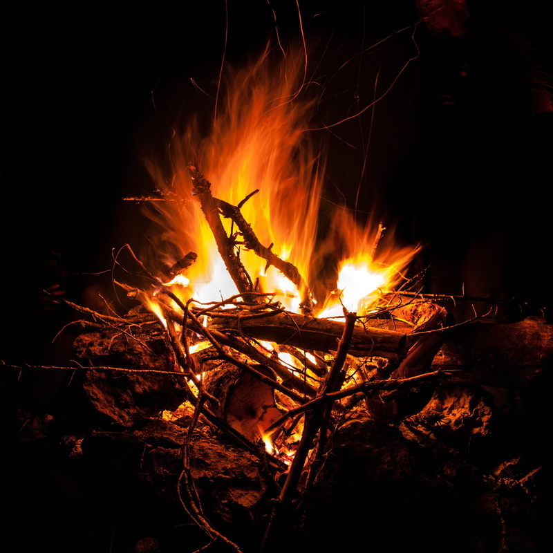 camping, firewood, brule, land, motion, wood - material, campfire, flame, night, no people, tree, burn, bonfire, lighted, fire, burning, time, glowing