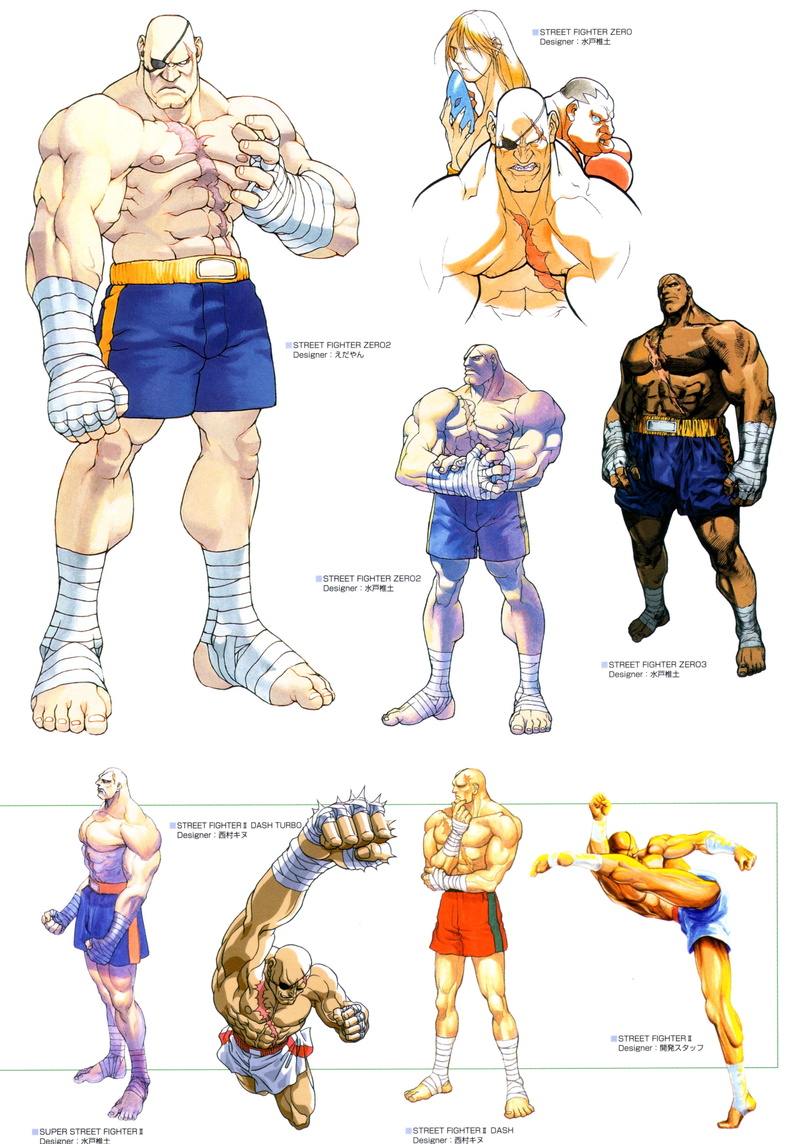 art, hd, games, street fighter, 2K, Street Fighter Alpha, street, alpha, video, fighter, sagat