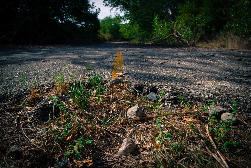 nature, environment, plant, abandoned, stop, land, left behind, landscape, transportation, asphalt, forest, 5K, growth, field, road, dirt, overgrown, non-urban scene