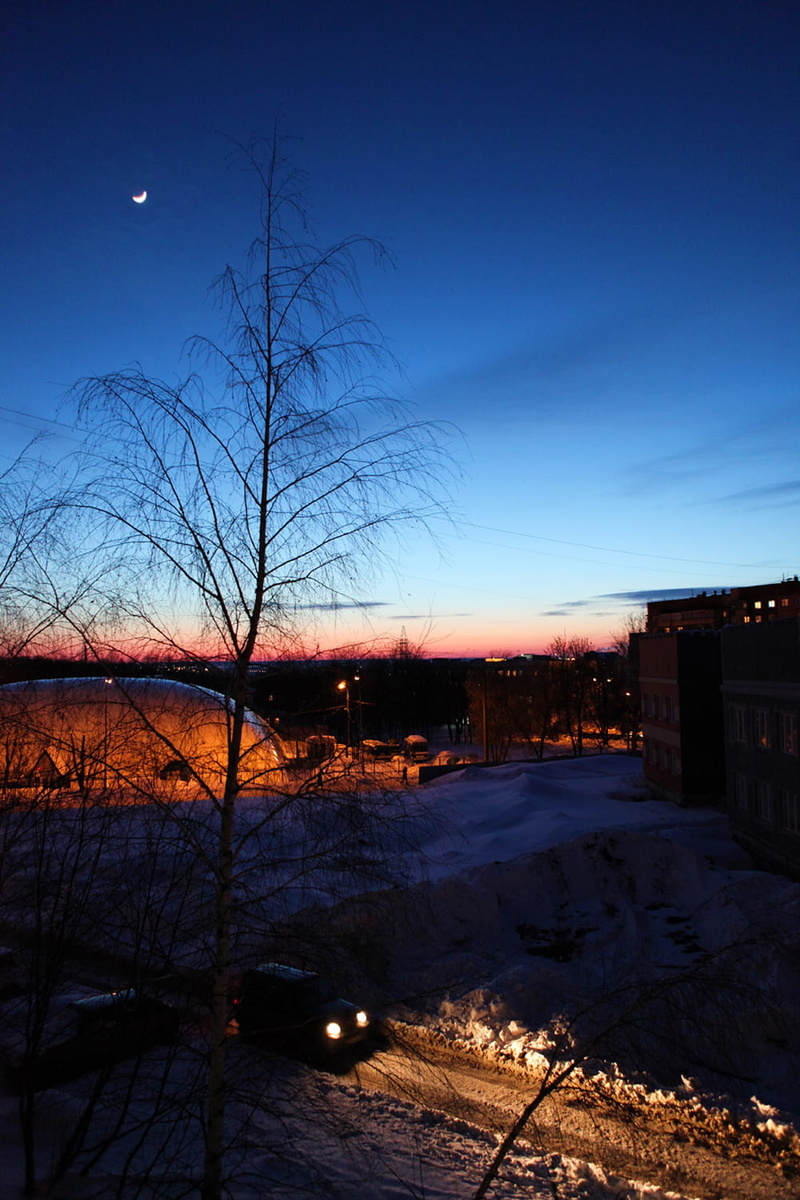 720P, no people, bare tree, night, building exterior, winter, outdoors, nature, illuminated, blue, architecture, dusk, tree, built structure, snow, plant