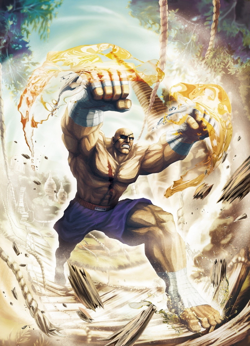 hd, games, tekken, x, video, sagat, 720P, fighter, art, Street Fighter X Tekken, street