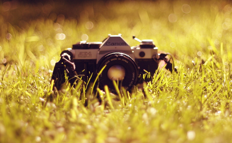 equipment, photography themes, camera, Grass, Hardware, technology, Computers, retro styled, field, 4K, plant, land, camera - photographic equipment, no people